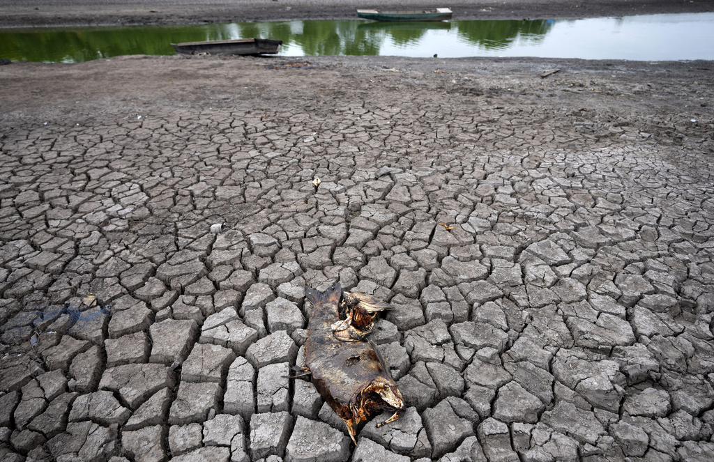 Efektet negative të tempersturave të larta tashmë kanë nisur të ndihen