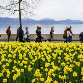 Pse jetëgjatësia në Zvicër po zgjatet?