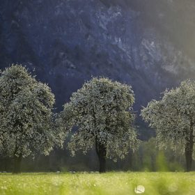 Pesë qytete në Zvicër që konsiderohen thesare të fshehura