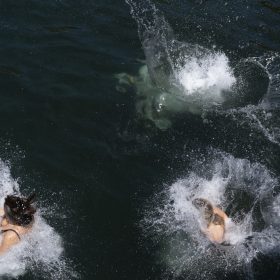 4500 pjesëmarrës në notin tradicional, në Limmat