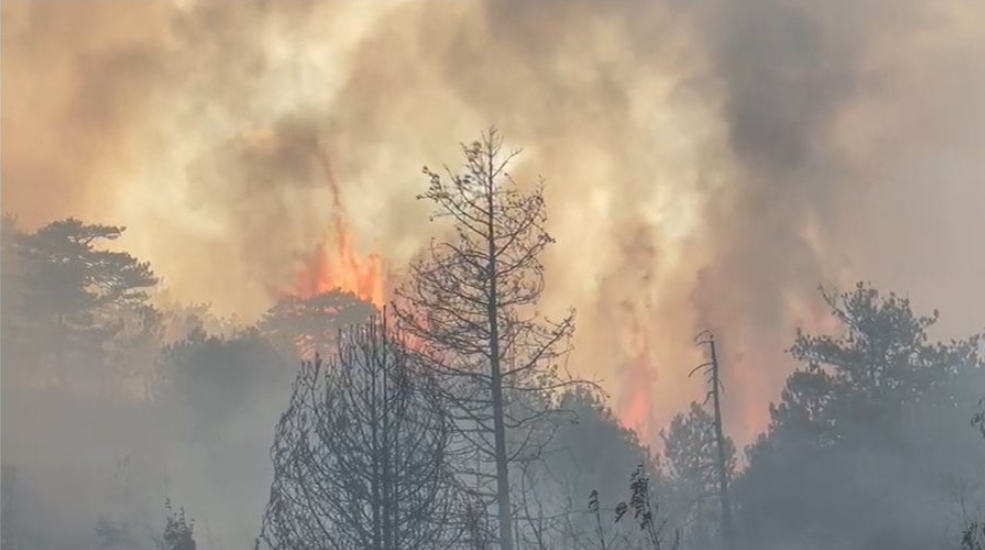 Shqipëria në betejë me zjarret