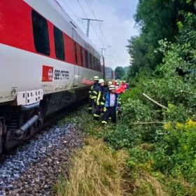 Treni me 300 pasagjerë goditet nga pema në Gjermani